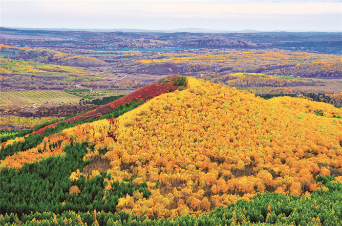 物微意不浅感动一沉吟——植物诗词隐含的生态思想及教育意义