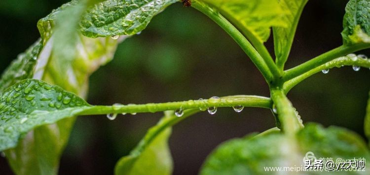 尼康d5500相机怎么拍照,尼康相机d5500录像