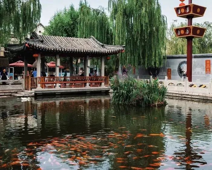 山东自驾游最佳旅游路线发布,山东自驾旅游攻略最全最好的线路