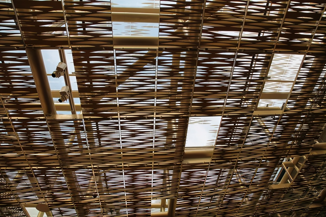 「怀念系列」新加坡|平价米其林+小众景点,3.5D我们不走寻常路3