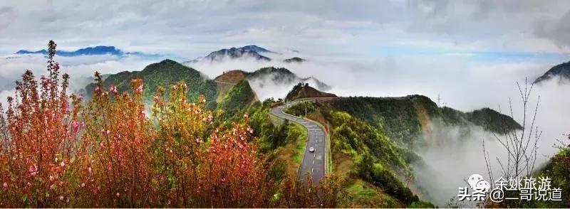 浙江看日本樱花最佳地方,浙江赏樱花最佳地排行榜