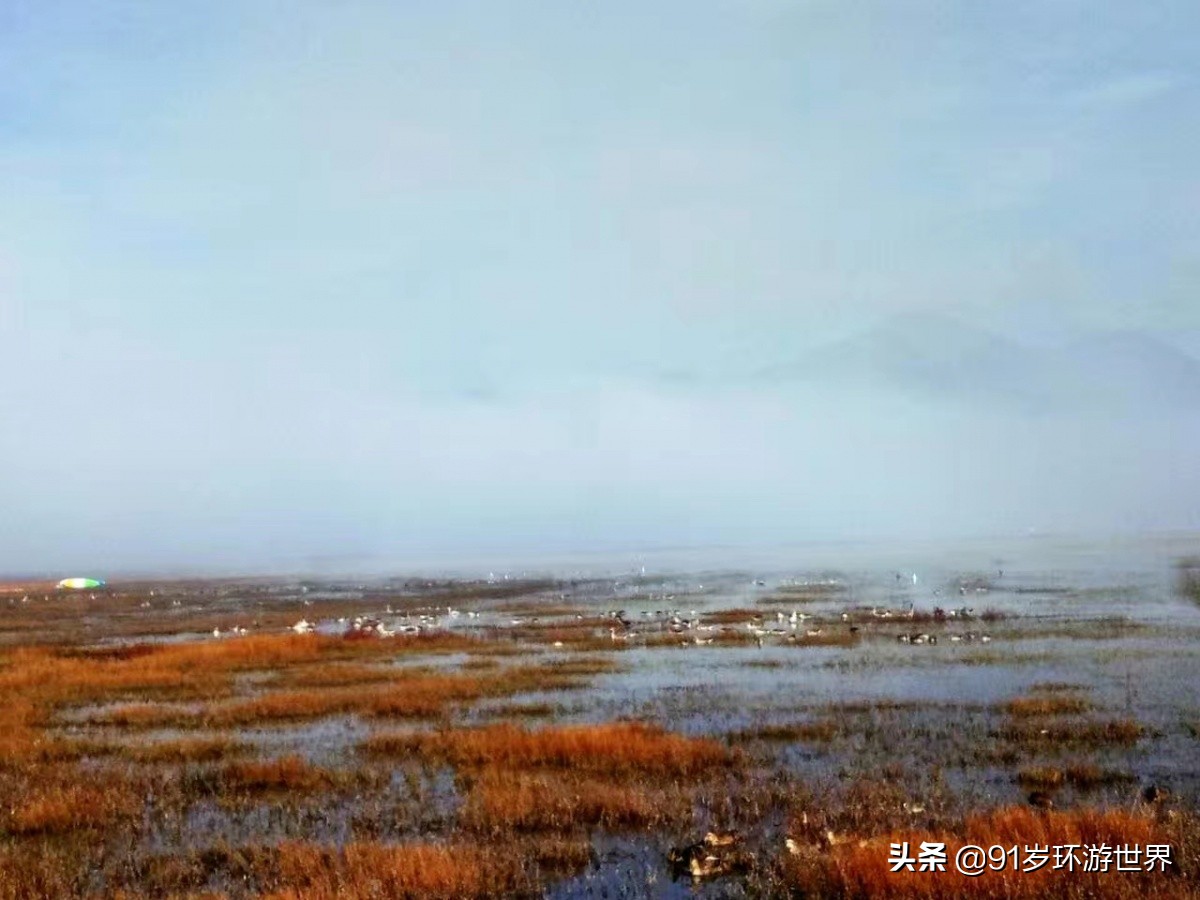 骑马正确压浪教学,骑马推浪教程视频