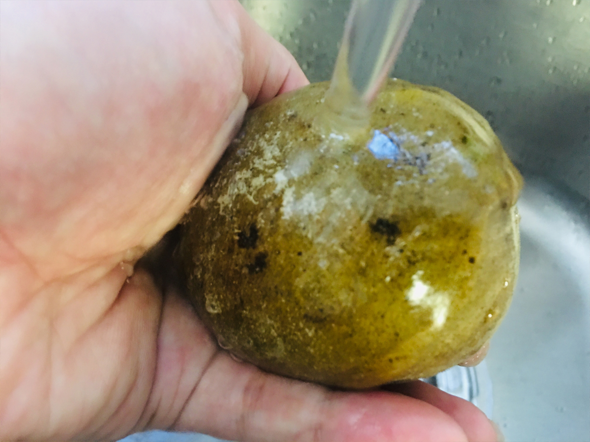 夏天生姜茶凉了喝有效果吗,夏季喝生姜茶祛湿气