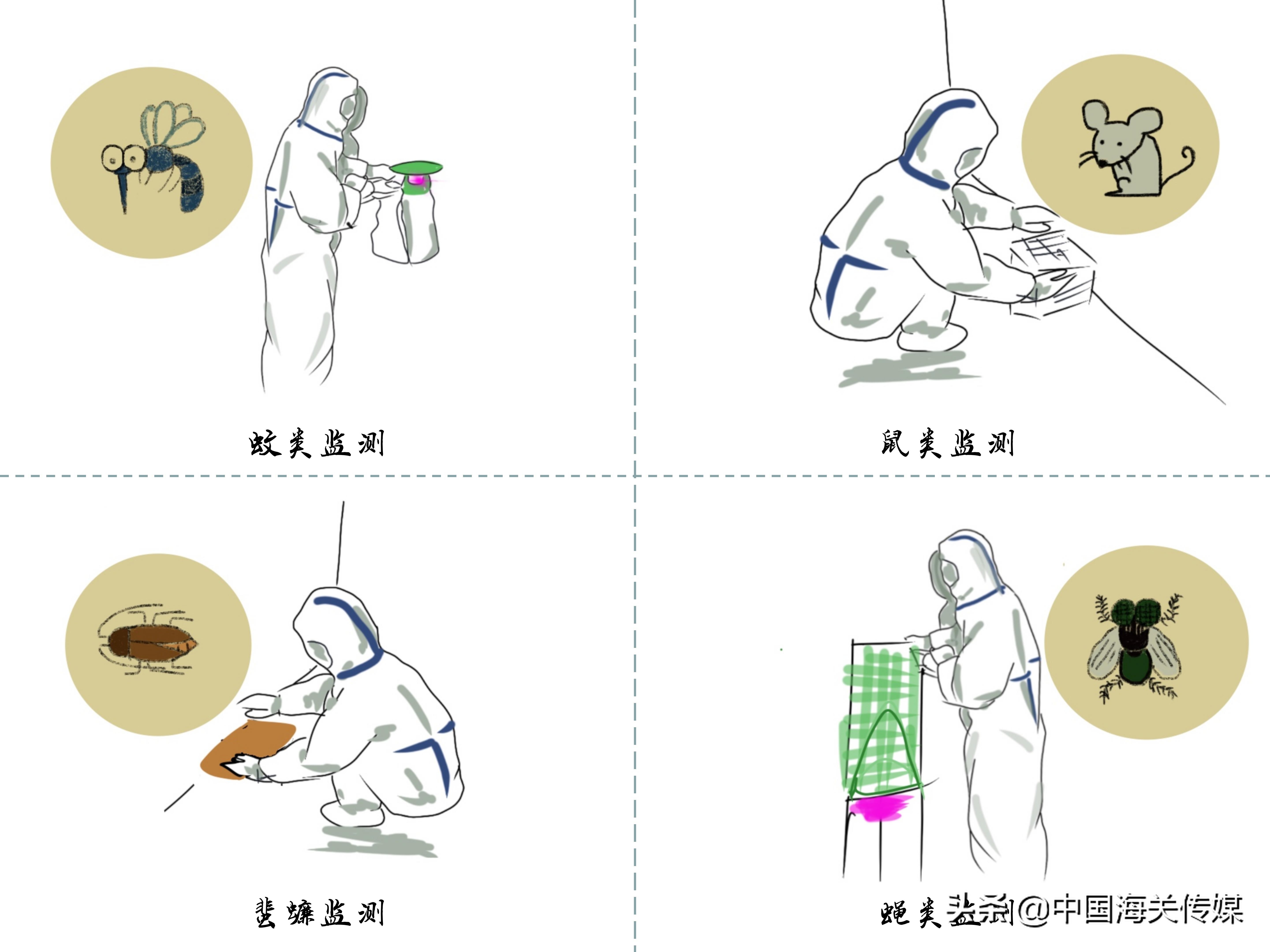 婕瘽鍎跨瀹夊叏,鍥介棬鐢熺墿瀹夊叏鍔ㄦ极瑙嗛