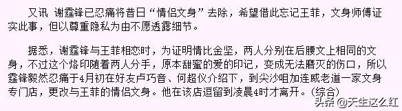 锋菲恋和锋芝恋真实情况,回顾张柏芝和谢霆锋的爱恨情仇