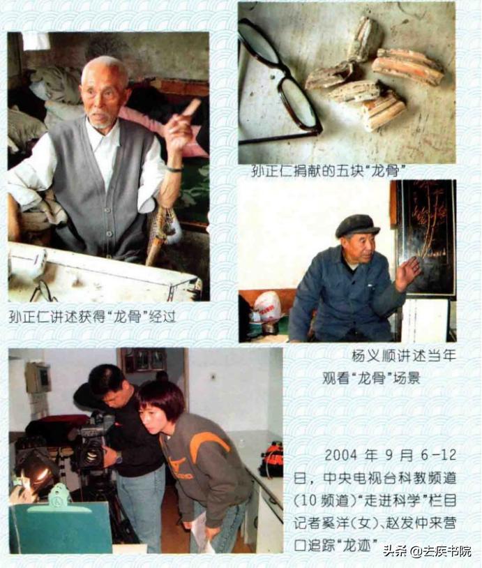 真的有龙吗未解之谜,真的有龙吗怎么回事