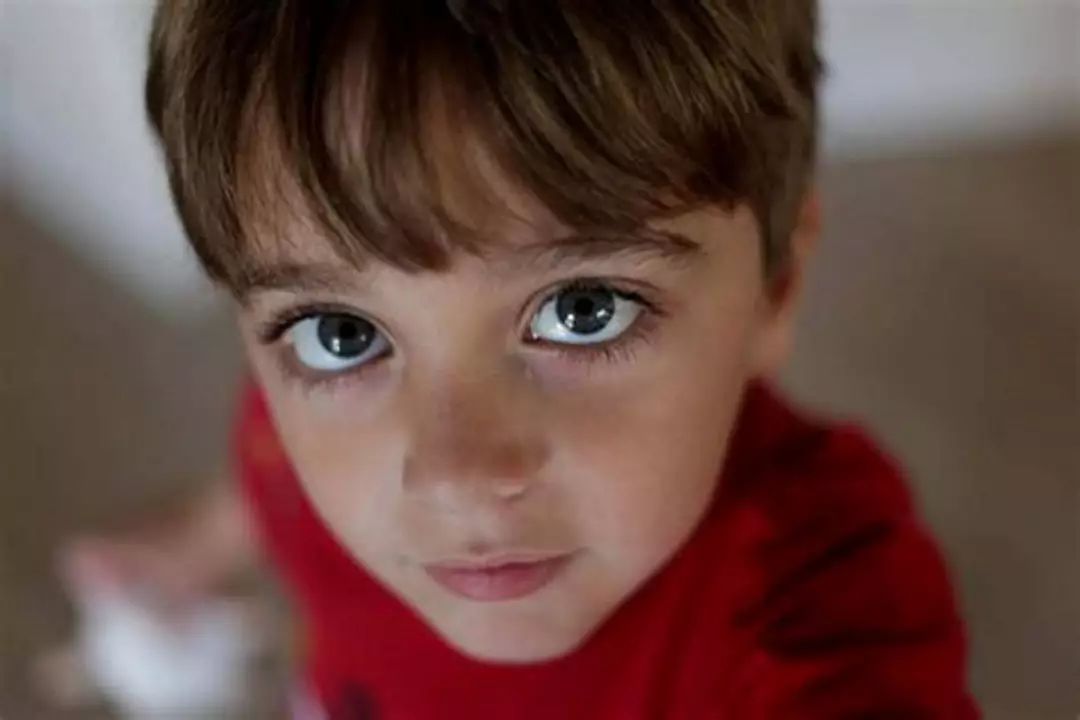 鍎垮瓙鏄娓ｄ絾鏄汉寰堝ソ,纭曞＋濡堝璇村効瀛愭槸瀛︽福