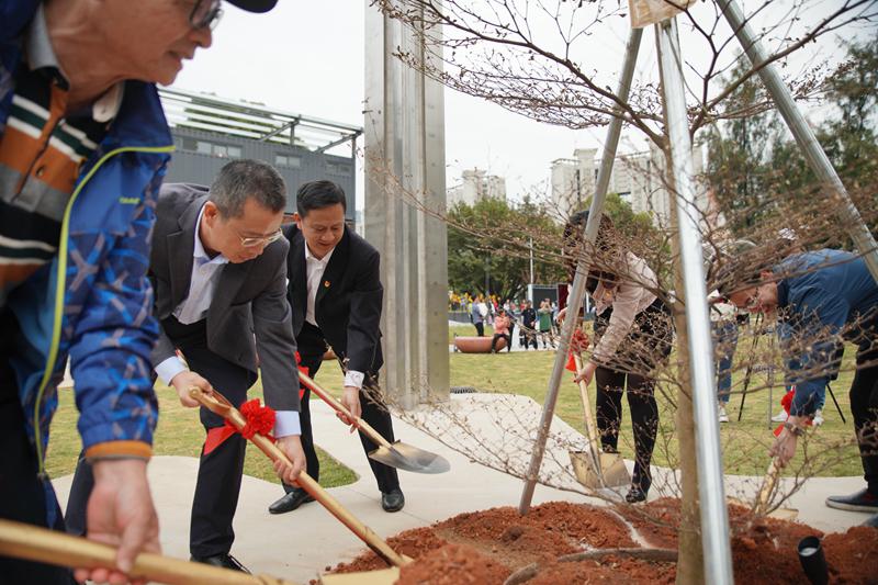 梅林附近的公园,梅林新开的公园