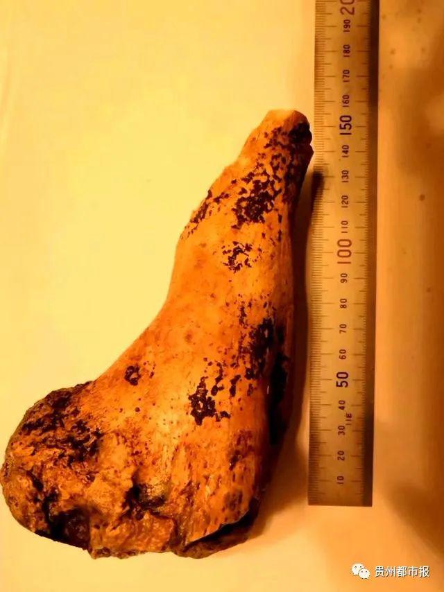 探索神秘岩洞,探秘山洞发现神秘生物