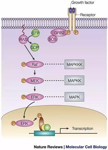 硬货的解析,硬货必买的10种