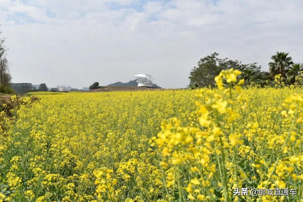 深圳周边古镇玩住一日游推荐,深圳山水田园一日游
