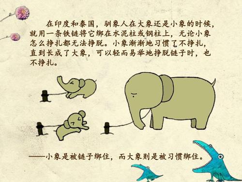 如何培养良好的习惯和品质,好习惯是如何养成的心得