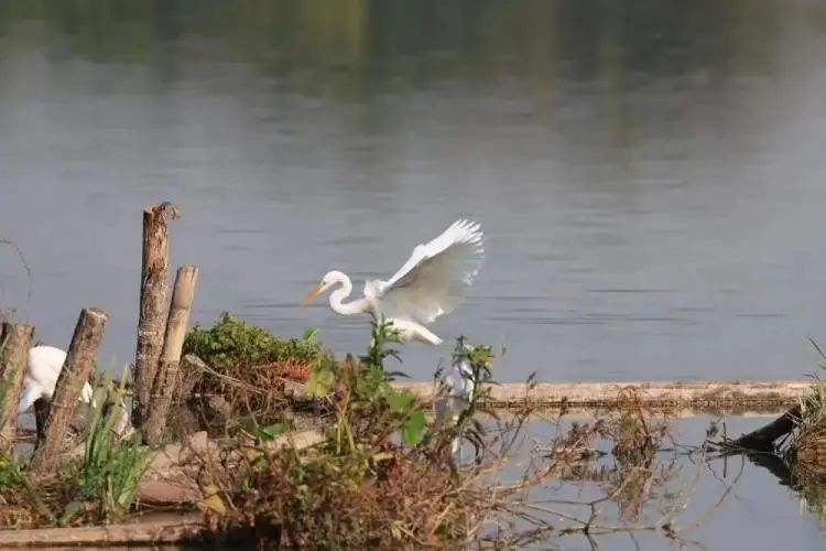 广州周边游一日游刺激,广州周边特价游