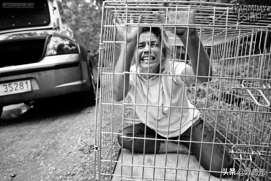 当宠物生病治疗费用太高,宠物生病治疗费有多昂贵