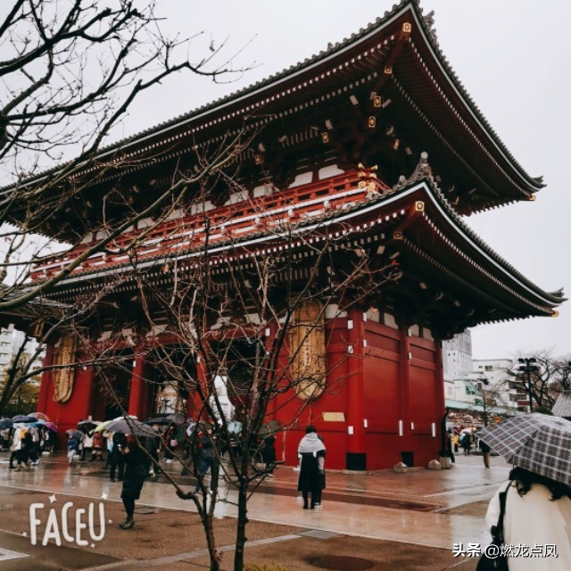 燃龙点凤带你鼠年春节玩日本东京名胜古迹