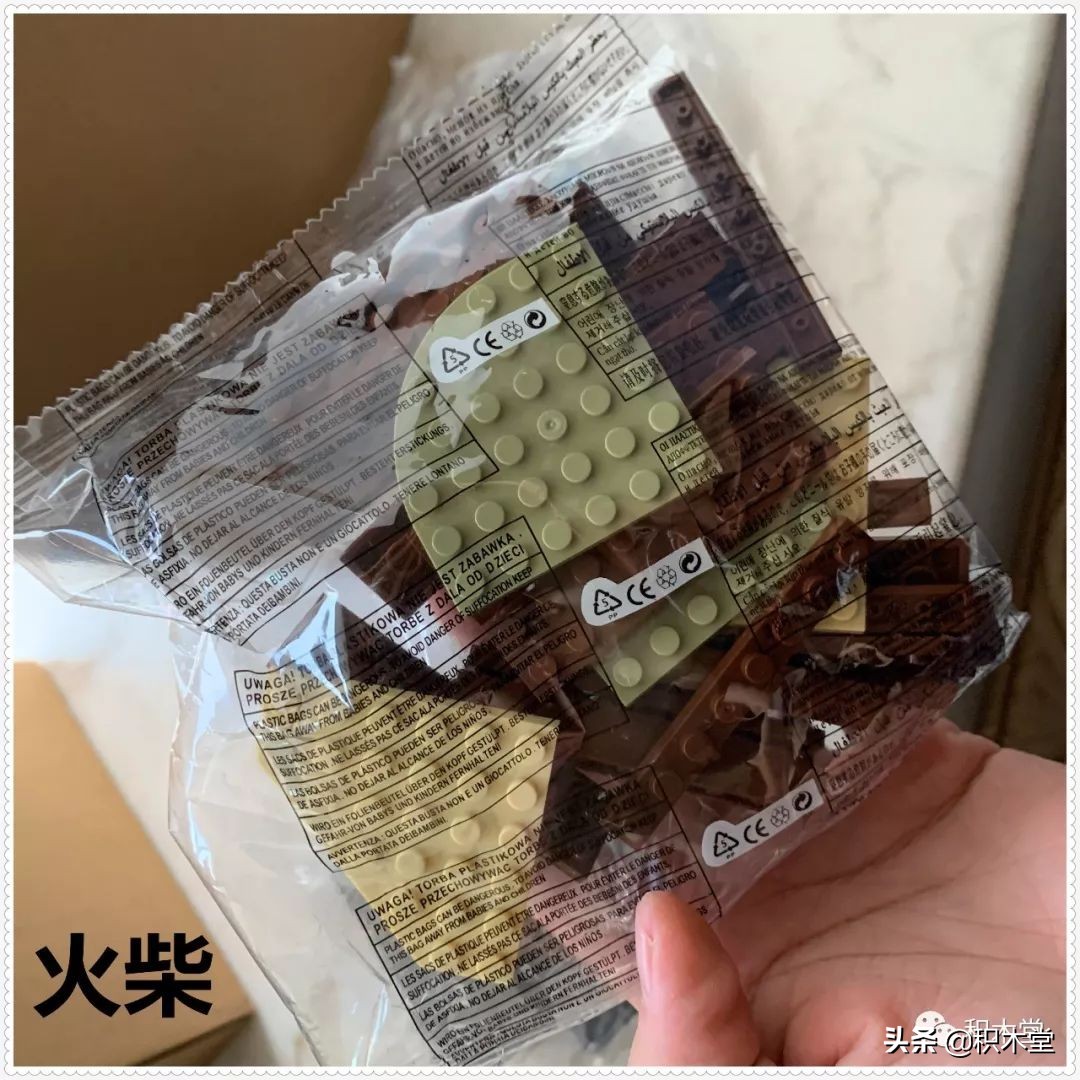 乐翼积木11338（雷克斯霸王龙）--（开箱贴）