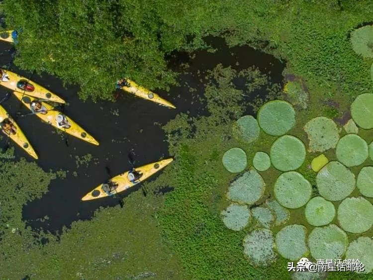 世邦邮轮豪华游轮介绍,2019年世邦邮轮