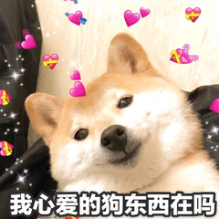 撩对象的表情包心都萌化了,撩对象的表情包想你了之类的