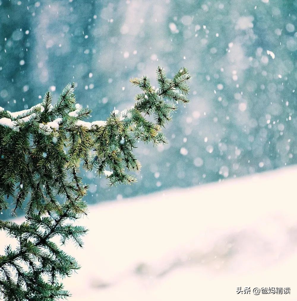 姑娘千万别嫁对你太好的男人,姑娘千万别嫁给心穷的男人