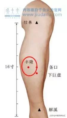 单桂敏艾灸除百病全部视频教程,湿去百病除