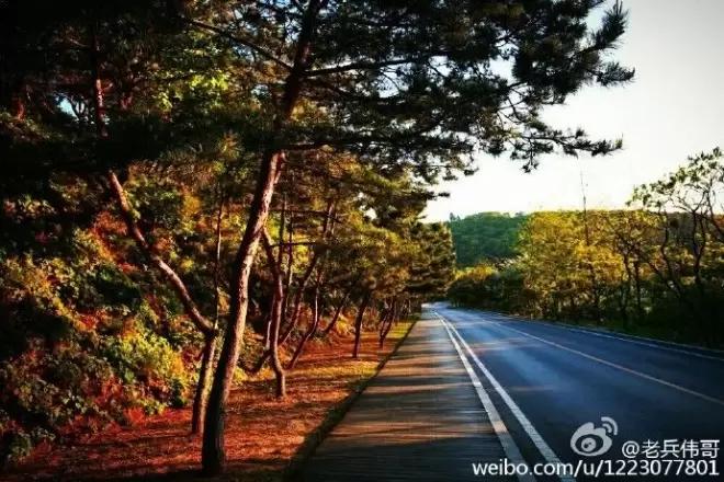 深圳市最长海滨栈道,中国最长海滨栈道