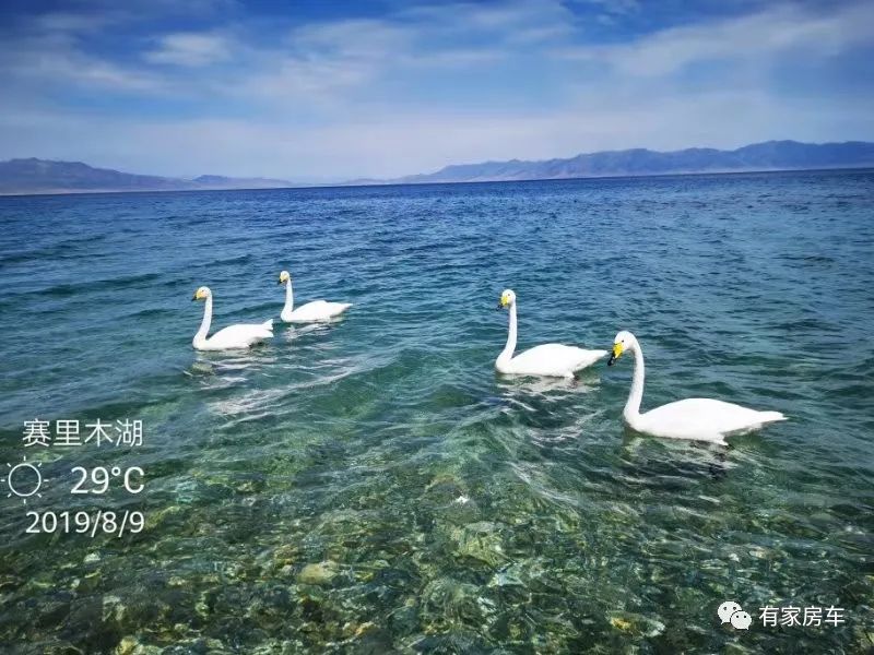 草原房车自驾,房车自驾北疆最佳路线