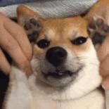 免费app是怎么盈利的,免费视频网站靠什么盈利