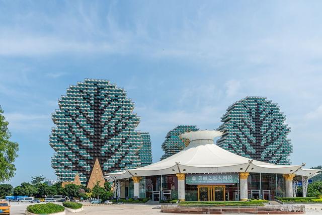 三亚美丽大树七星酒店多少钱一晚,三亚美丽之冠大树酒店老板是谁