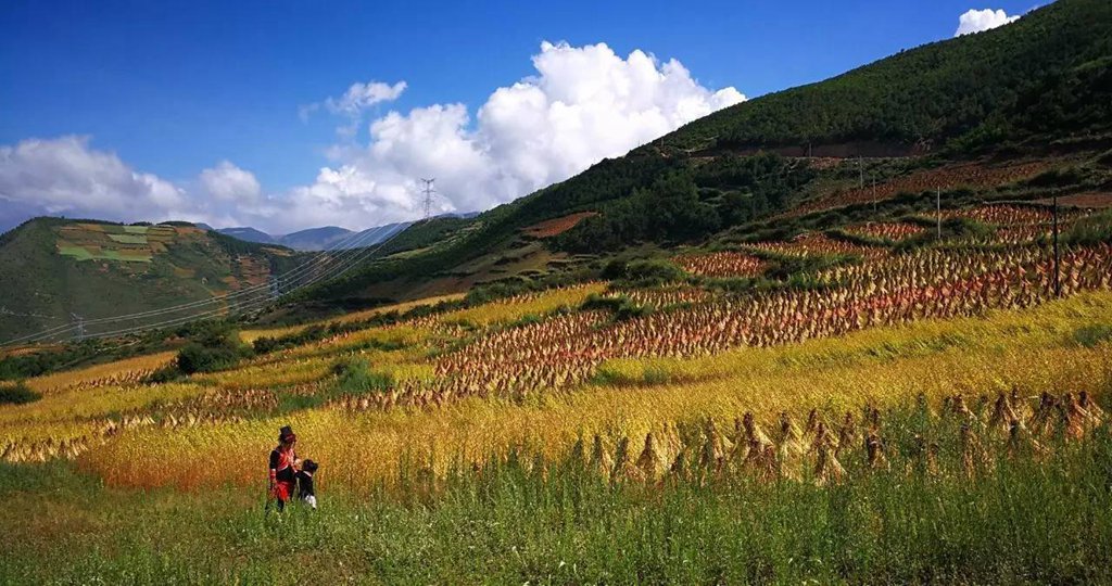 国际旅游摄影推荐,大凉山摄影攻略