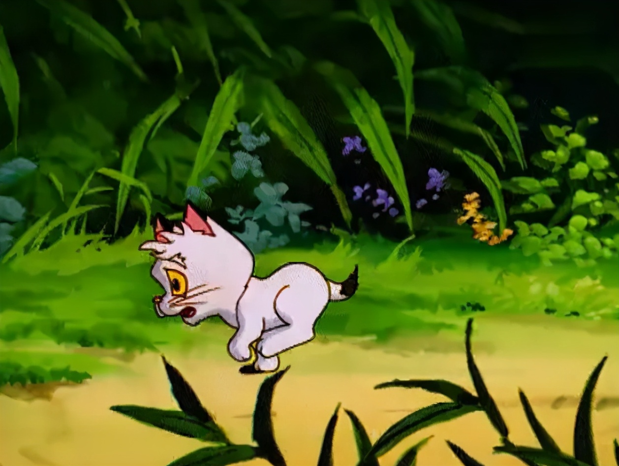 小贝流浪记，国内“最具教育意义的动画”，成就了一只会飞的猫