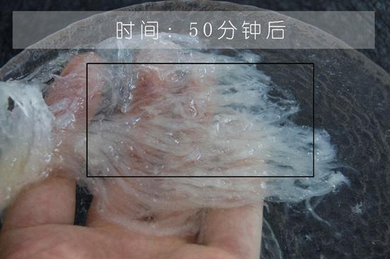 你一定要知道的燕窝小知识,燕窝知识百答之基础篇