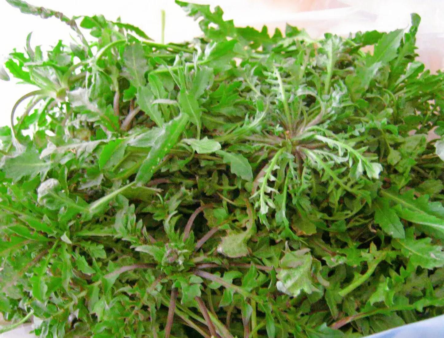 调荠菜饺子馅切记不要加一堆调料,调韭黄馅饺子馅牢记三不放