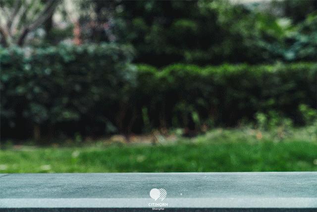 星巴克樱花杯2021爆款是哪一个,星巴克樱花系列28.9