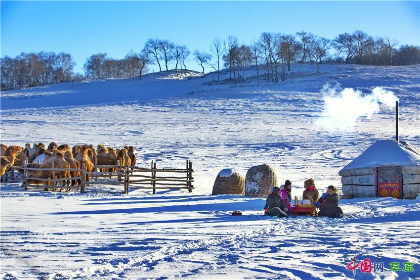 一起去看美丽的坝上草原,秋季坝上草原游记