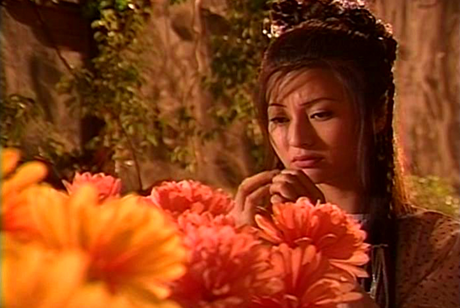 徐少强与刘松仁电视剧全集,武侠剧刘松仁徐少强