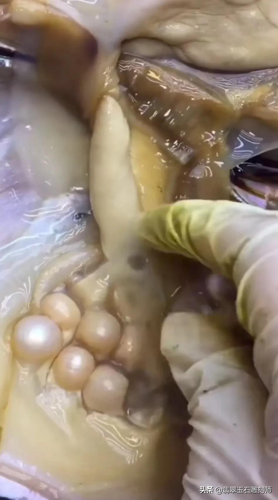 老板送的小礼物情人节,老板情人节送员工的礼物