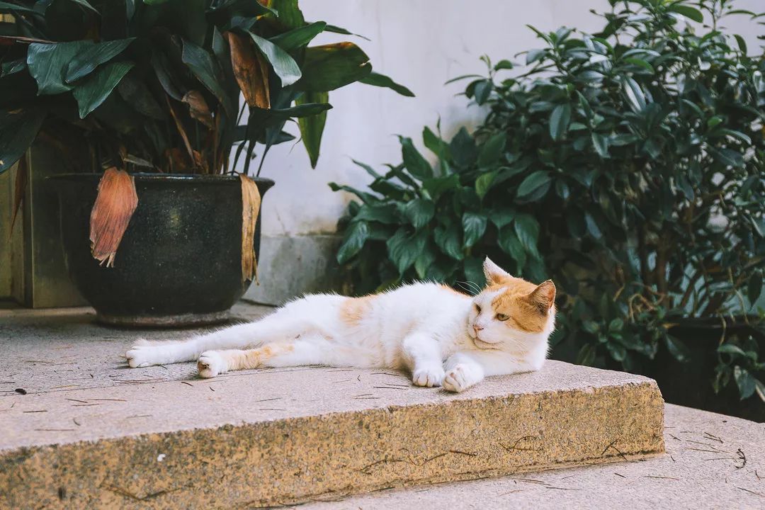 趣办空间|临窗观草木,*情纵**山水间:趣办@长乐路