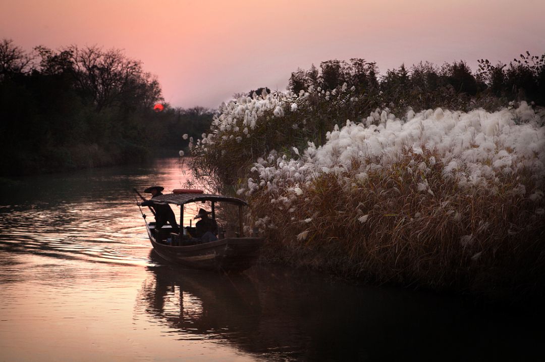 西溪天堂令人沉醉的江南梦境,城市的夜晚江南水乡美如画
