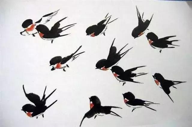 写意花鸟配景石的画法,干货写意花鸟类的画法