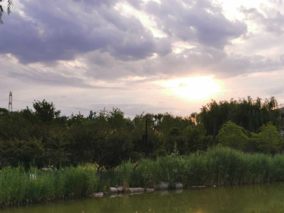 医学人文精神感悟,医学人文精神的表现