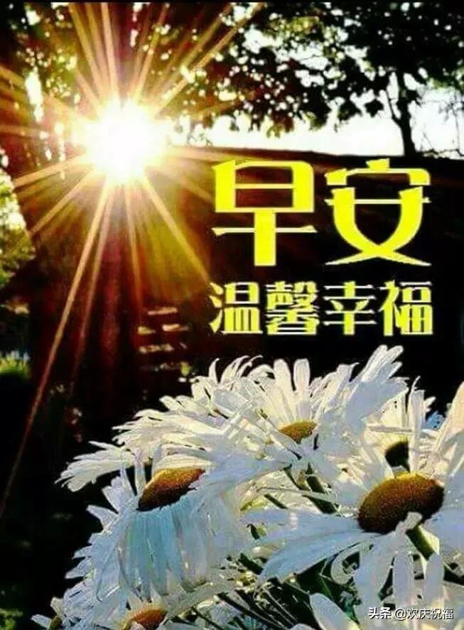 周一早上好最漂亮的早安问候语,最新早上好问候语温馨短句图片