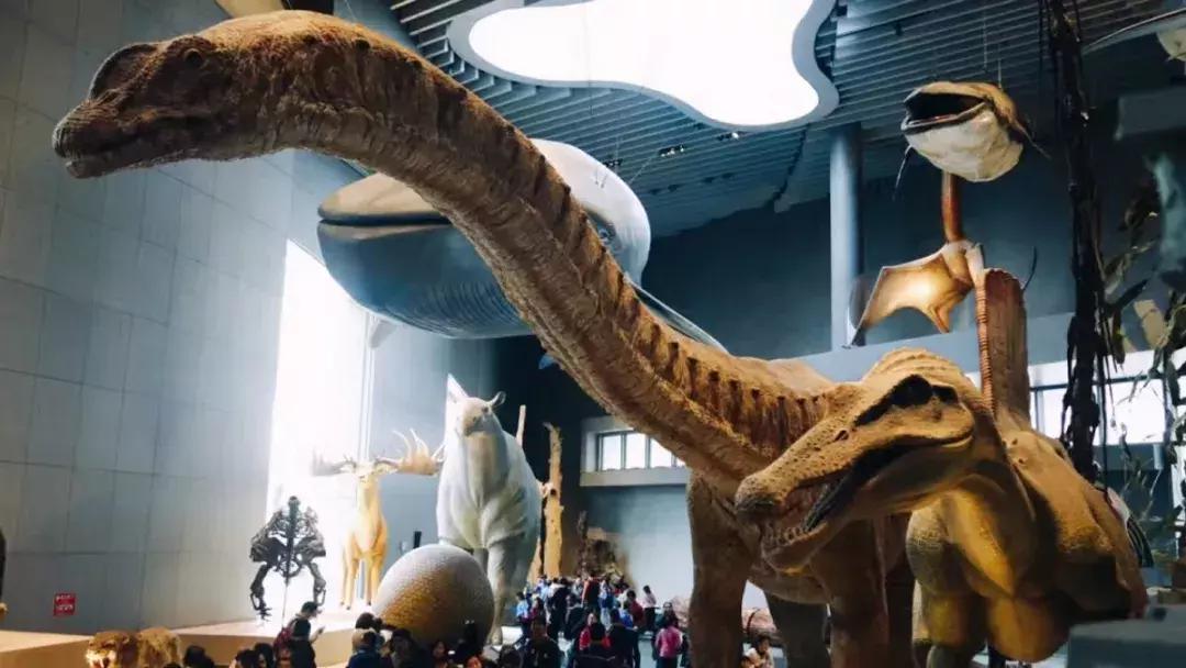 看完不想上班,让人看着就不想做的工作