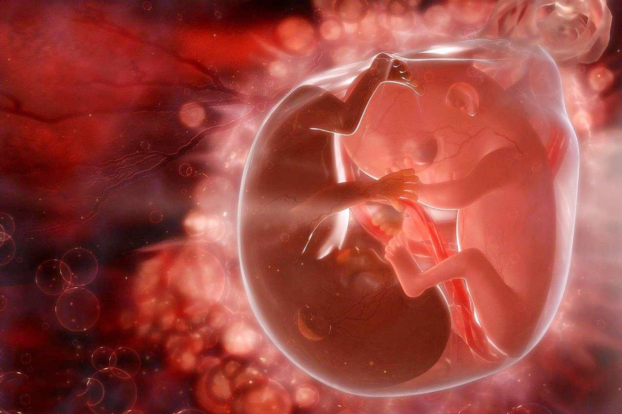 37周见红了但肚子不痛一般多久生,怀孕37周胎儿入盆了还要多久能生