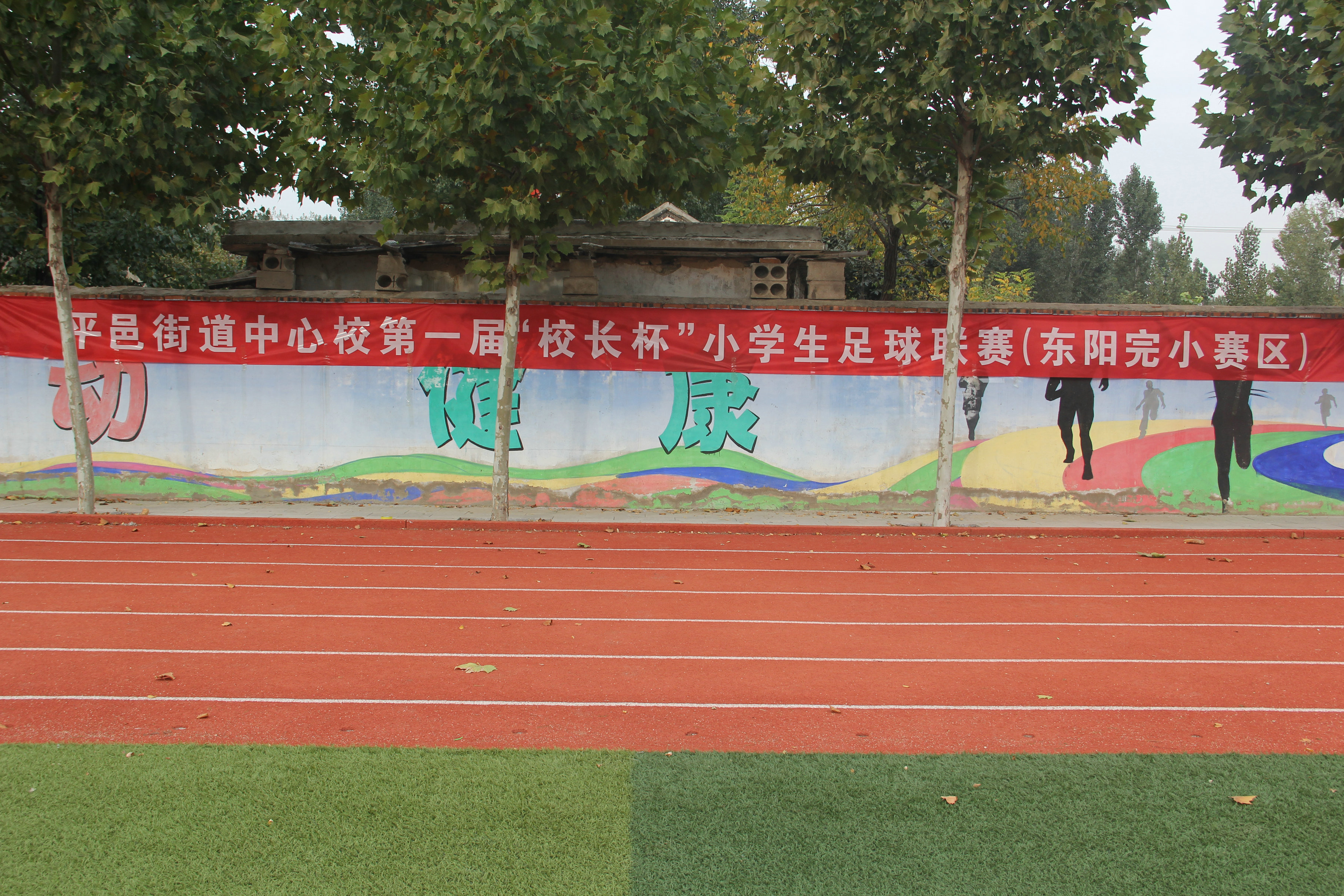 驰骋绿茵场足球争霸,驰骋绿茵场少年梦飞扬