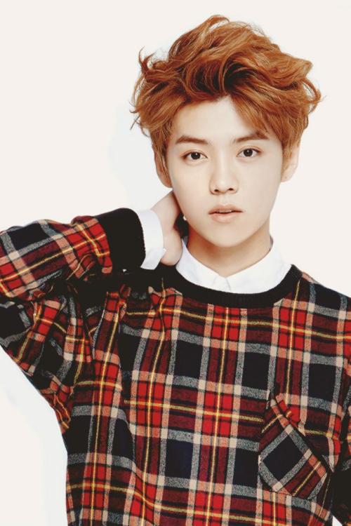 鹿晗近期现状照片,鹿晗现状的照片