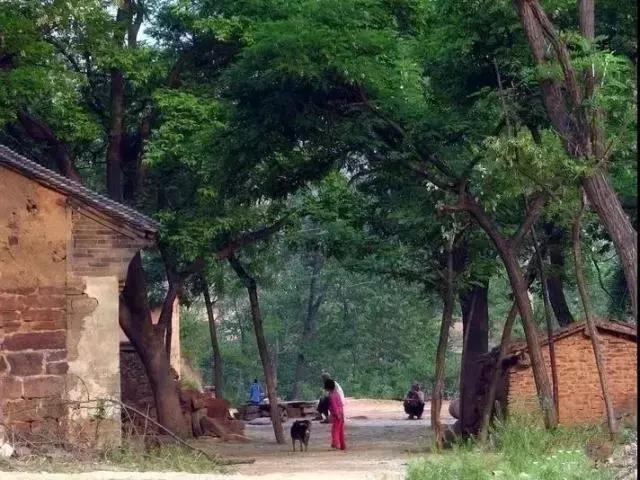 孟津平乐镇古村寨,孟津十大古镇排名