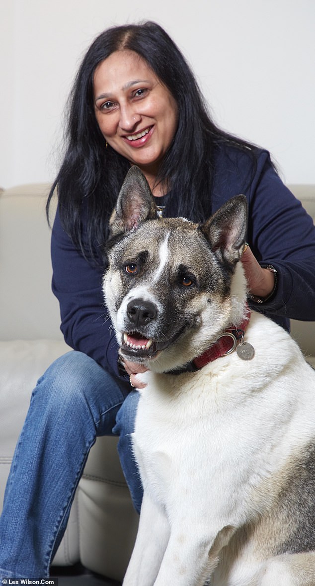 50英镑检测纯种犬，很多主人检测完都要哭了，有血统证明都能假！