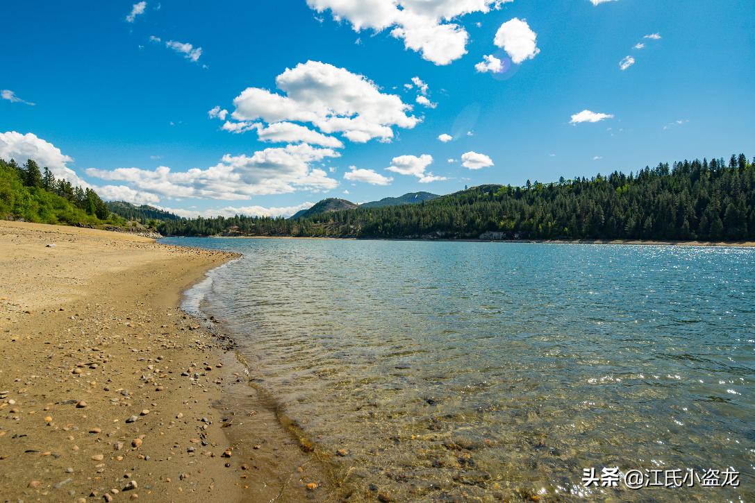 科学家揭秘猛犸象灭绝的真相,历史上的猛犸象被科学家复活了吗