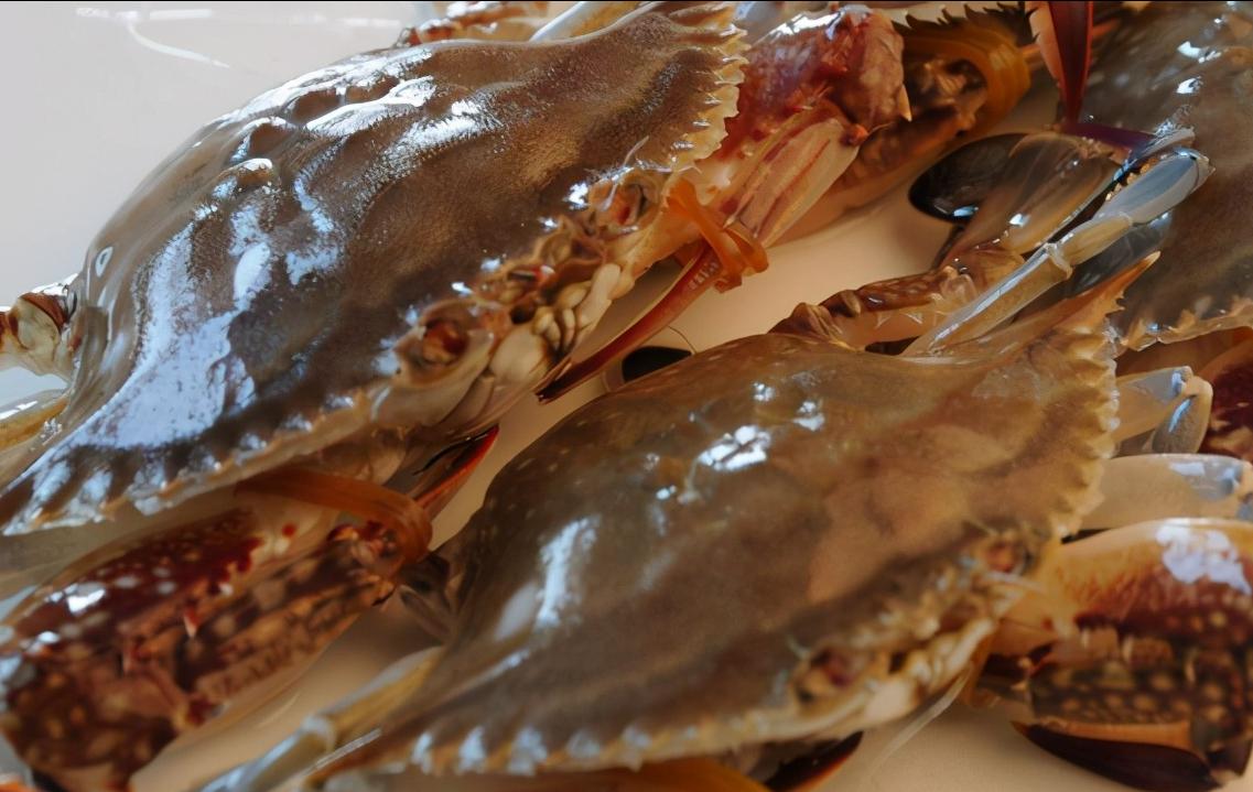 辽宁省内的葫芦岛市简介,辽宁省葫芦岛市各区