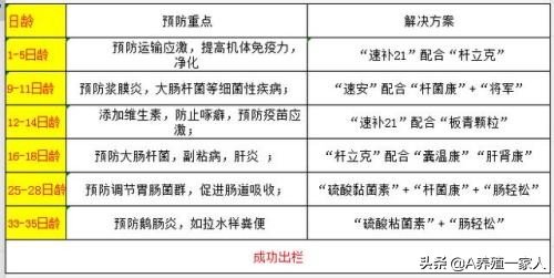 鹅病了用什么土方法才能治好,鹅的常见病有哪些要注意怎么防治